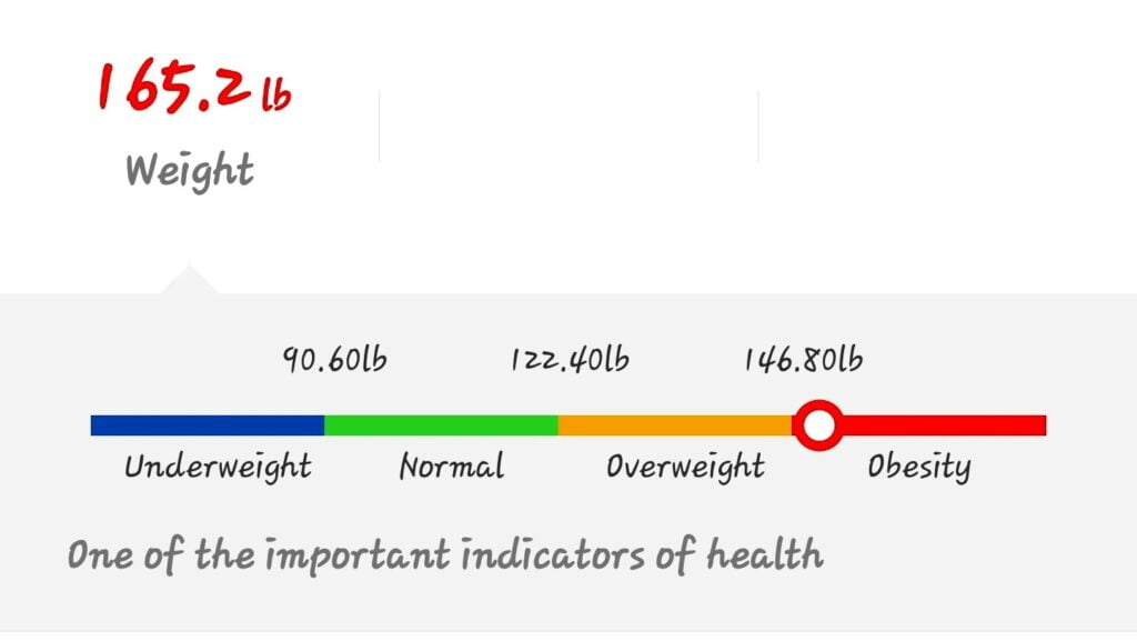 The Renpho Scale Application