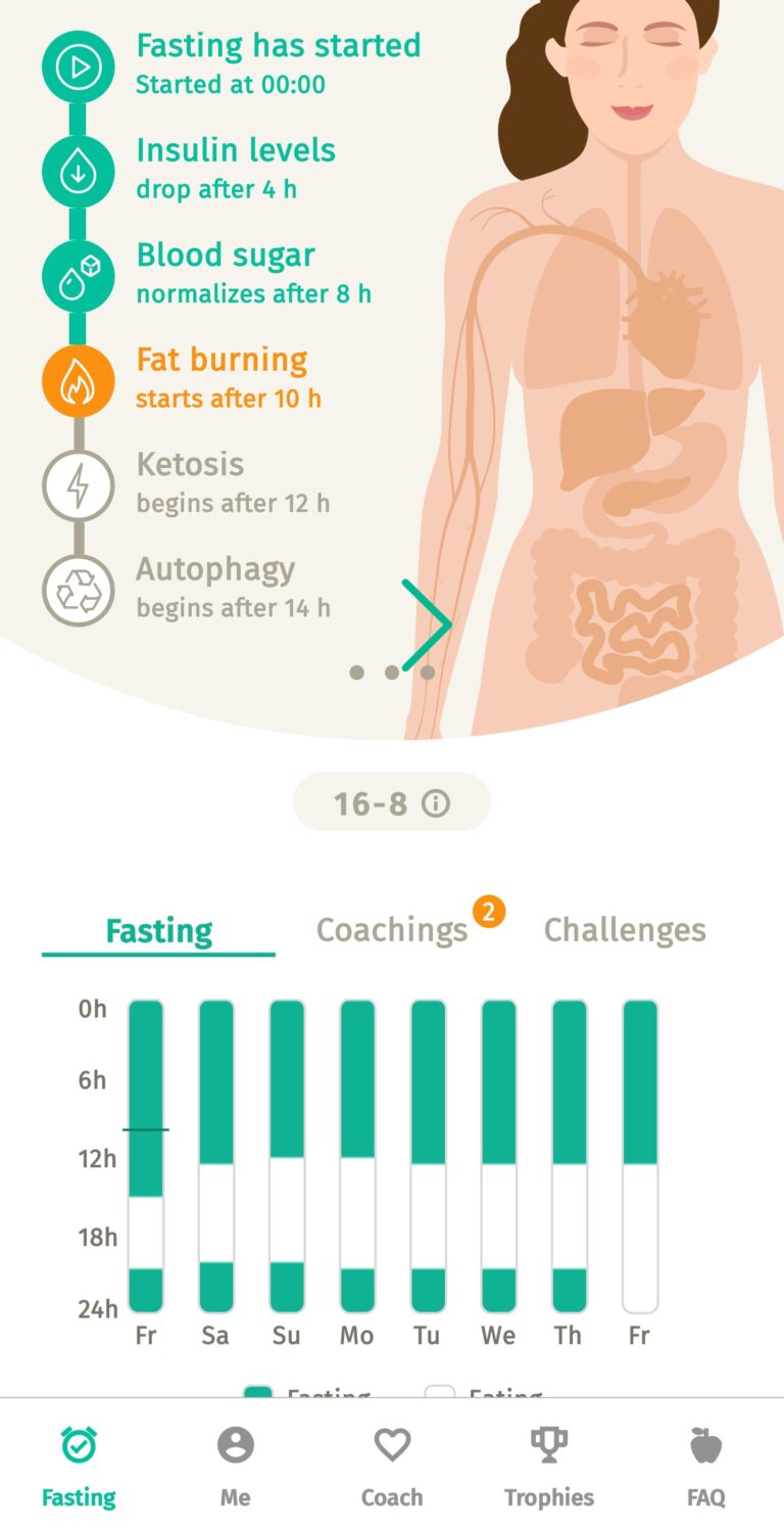 Intermittent Fasting Body Fast